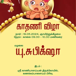 WhatsApp Image 2025-05-31 at 3.31.36 PM (2)